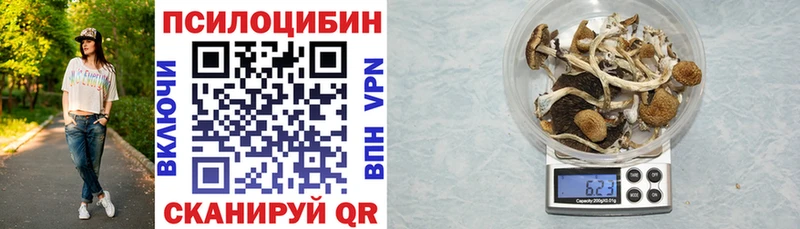 Галлюциногенные грибы GOLDEN TEACHER  купить наркотик  Брюховецкая 